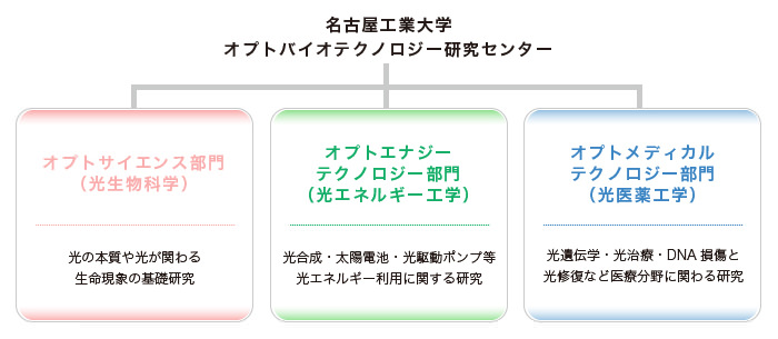 名古屋工業大学 オプトバイオテクノロジー研究センター 各部門